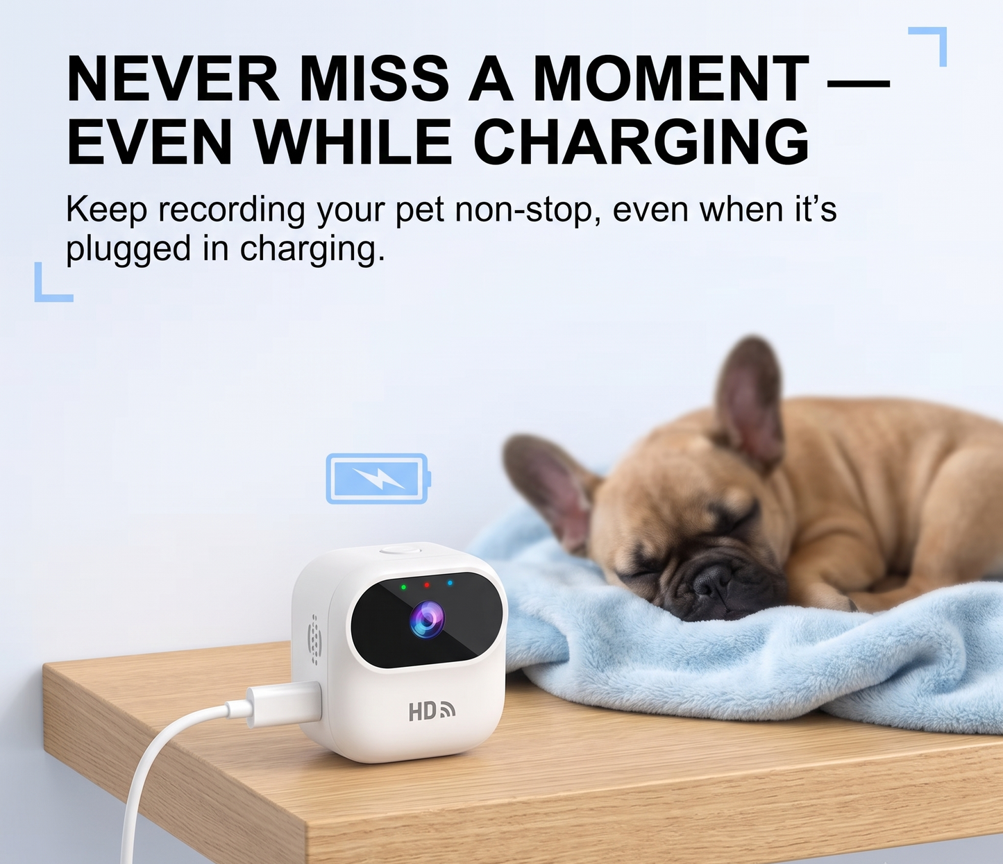 PawWatch HD Pet Camera
